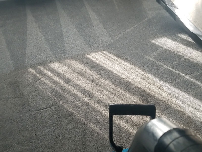 Images Clean to the Maxx