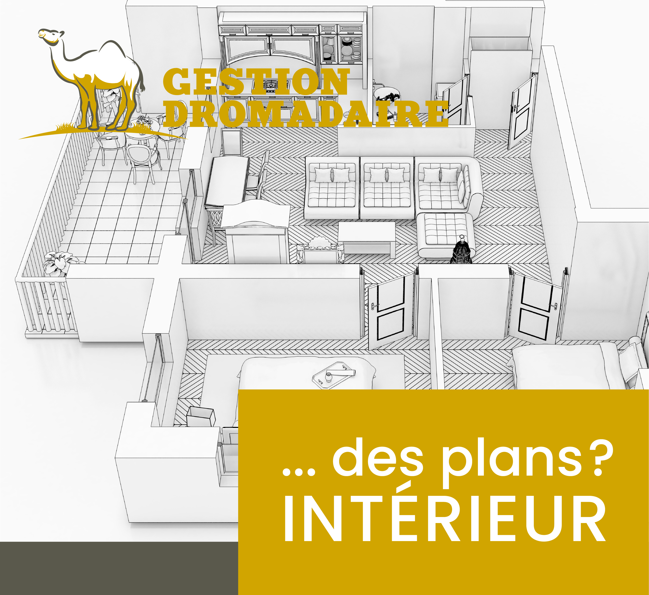 Images Gestion Dromadaire Inc