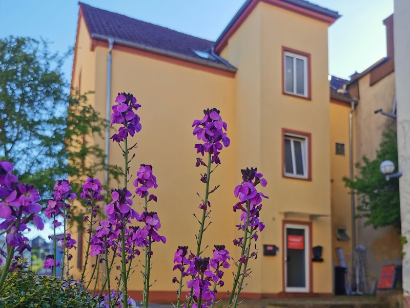 Bild 3 Studienkreis Nachhilfe Illingen in Illingen