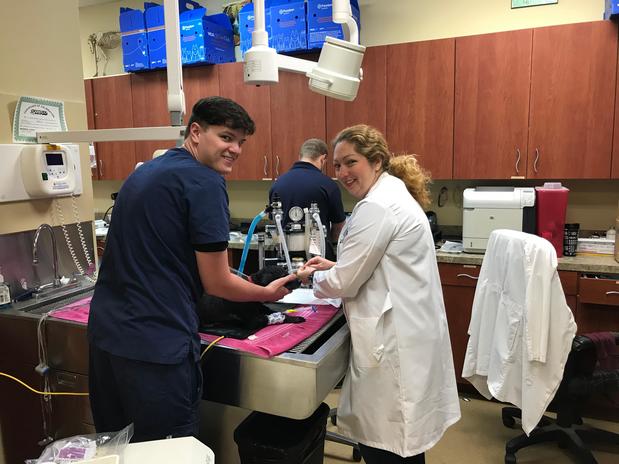 Images VCA Oak Hills Animal Hospital