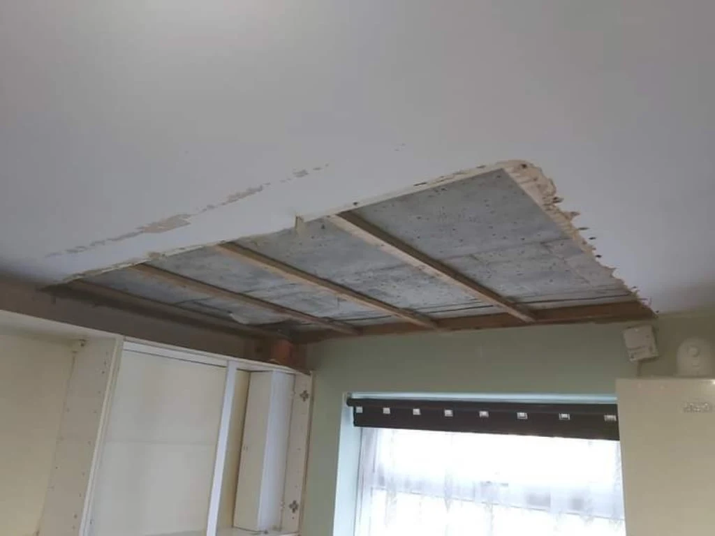 DN Plasterers