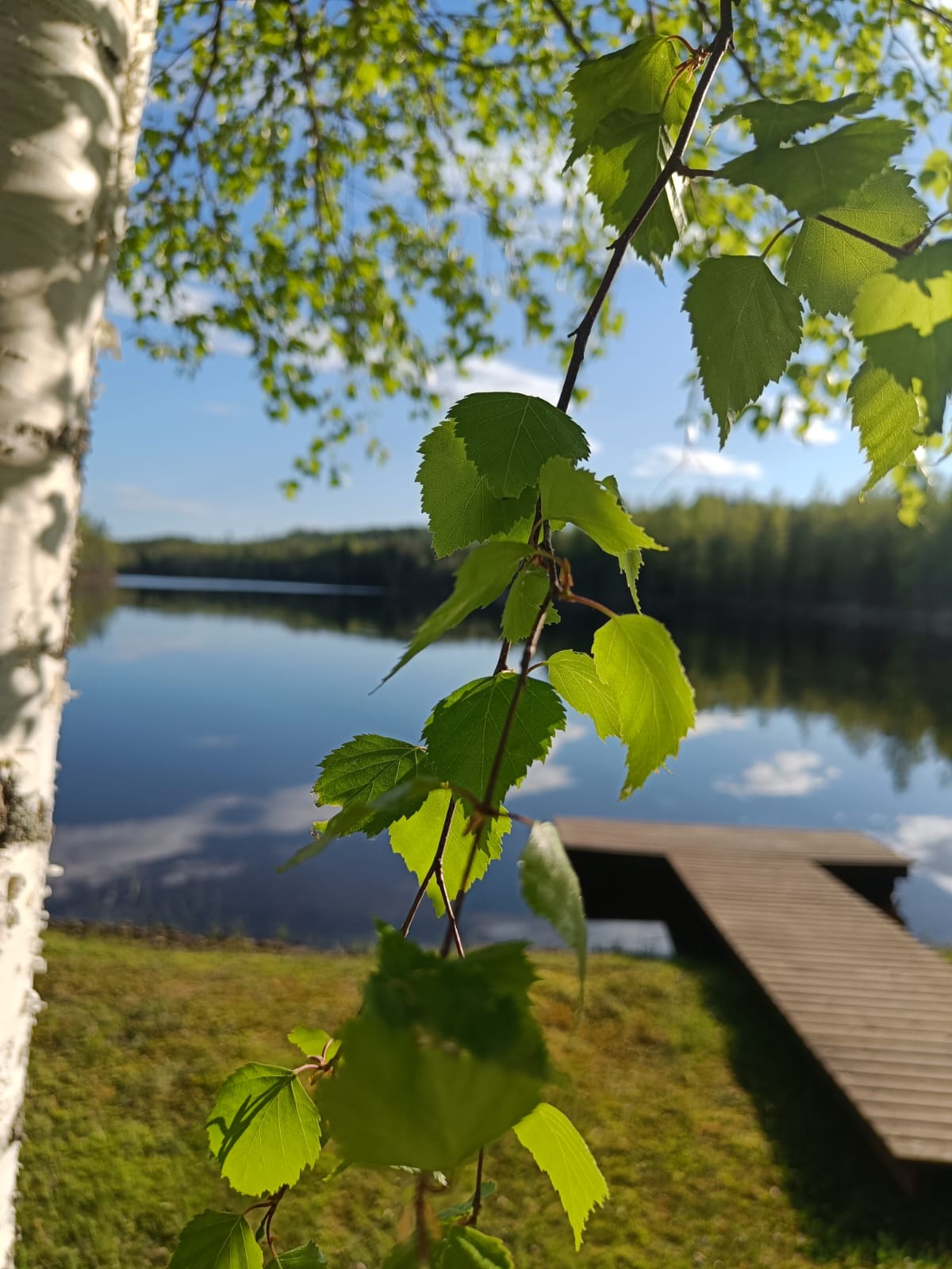 Images Muhosen lomamökit