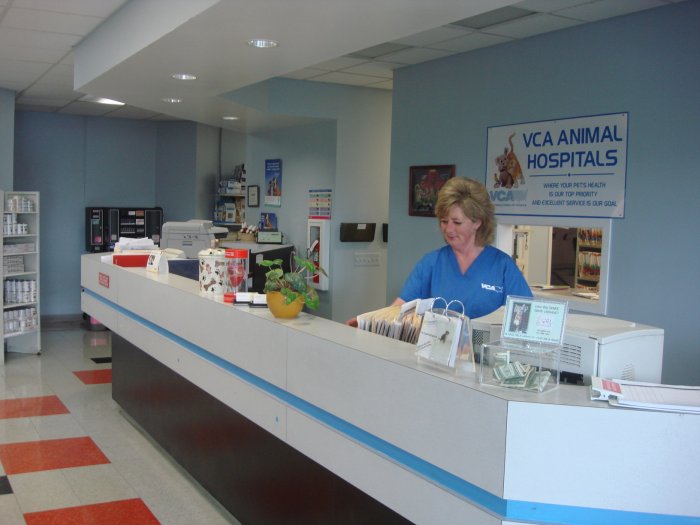 Images VCA St. Clair Shores Animal Hospital