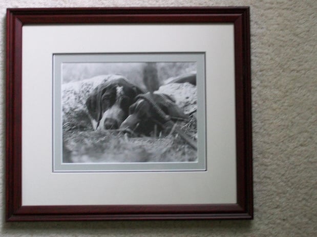 Images Gallery One Picture Framing Studio And Art Gallery