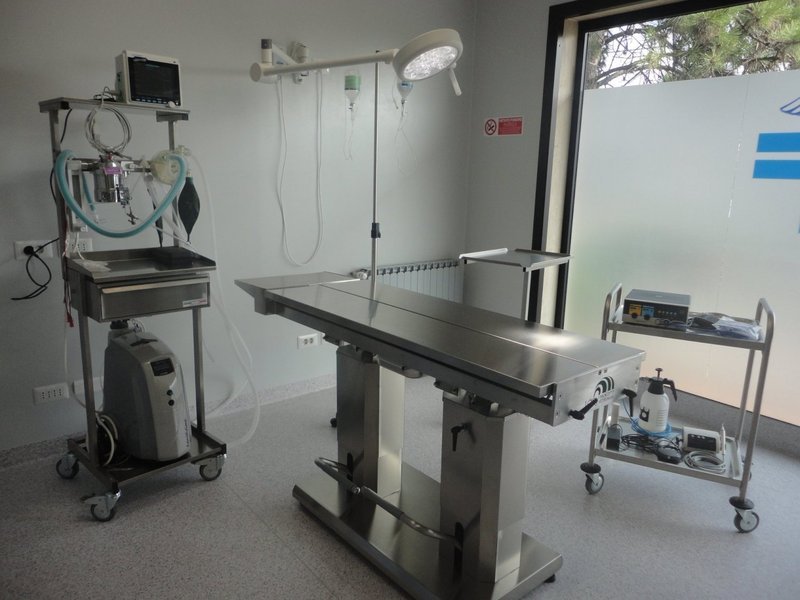 Images Ambulatorio Veterinario La Fenice