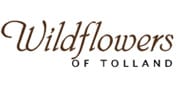 Images Wildflowers of Tolland