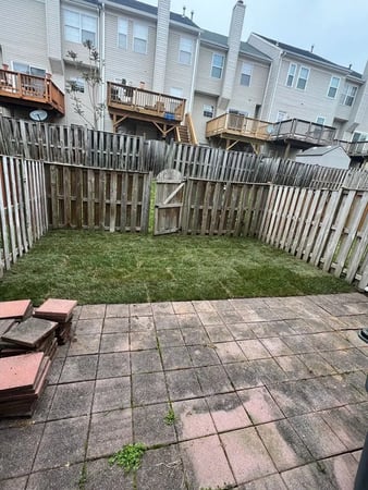 Images David Kennedy Tree & Landscaping