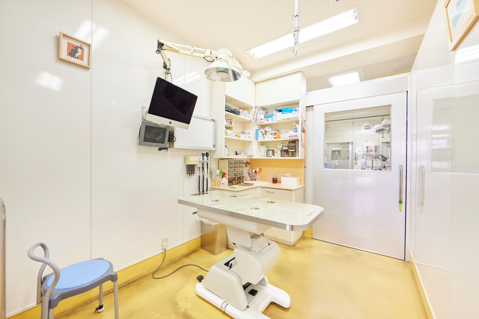 Images 江島動物病院 PAL動物病院グループ