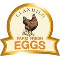 Llandilo Farm Fresh Eggs Logo