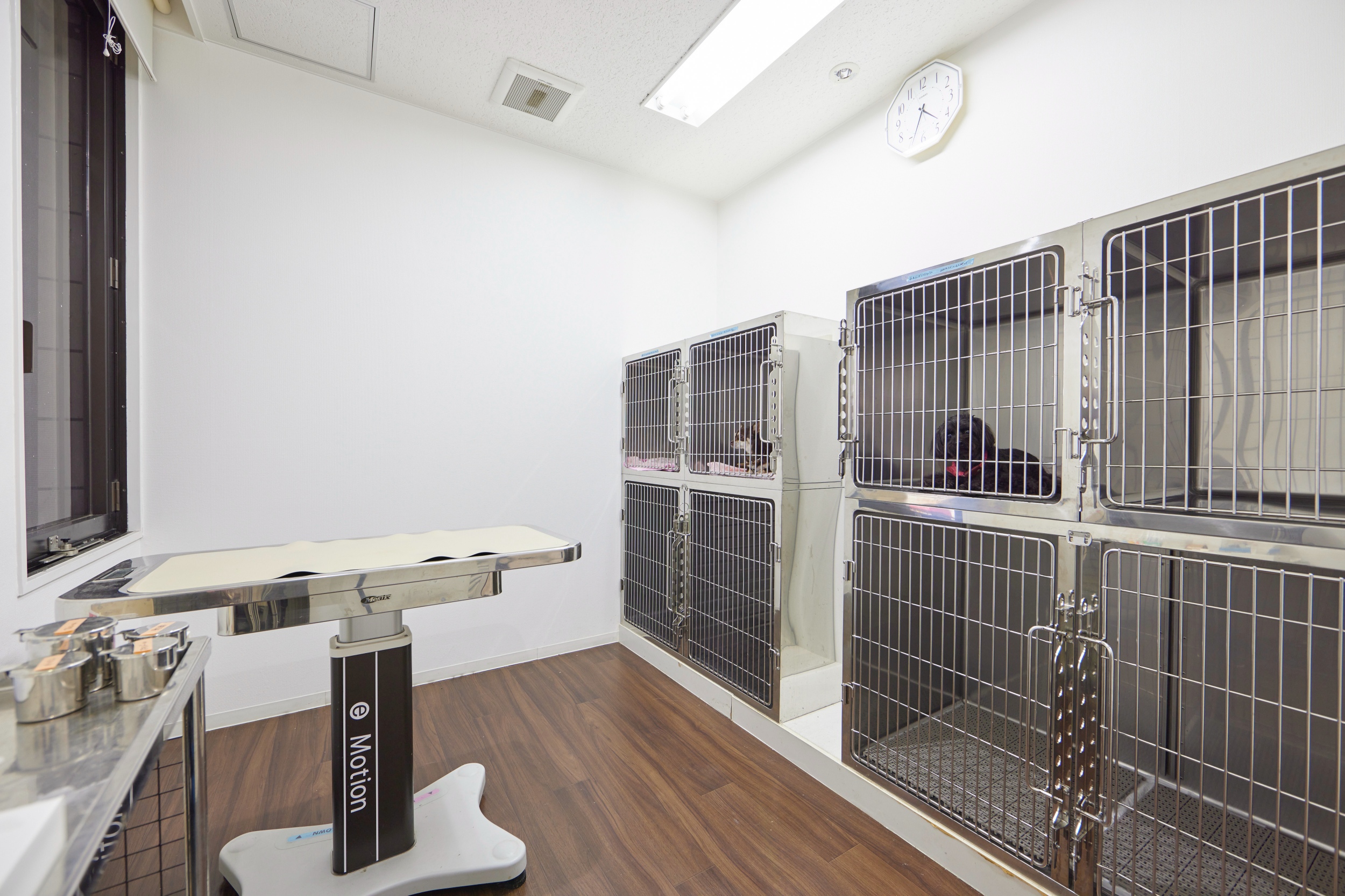 Images 飯塚パル動物病院 PAL動物病院グループ