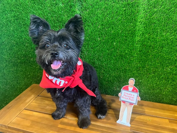 Images Tom Ledwidge - State Farm Insurance Agent