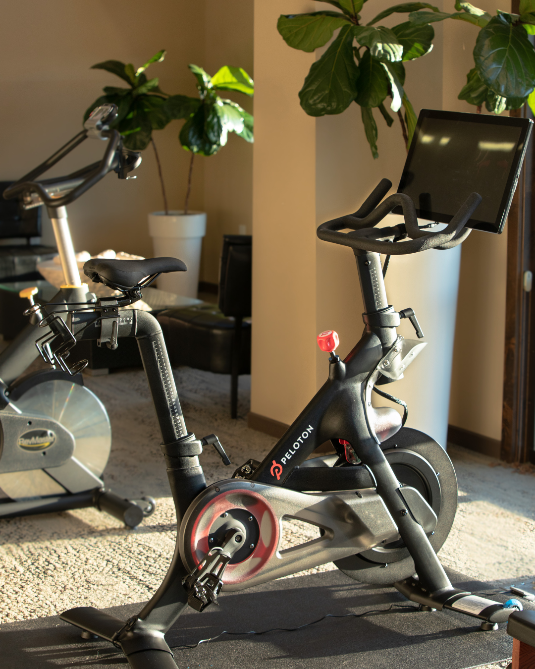 Enjoy our beautiful seventh-story views through our floor-to-ceiling windows while you work out. Indoor cycling comes to The Oxford Hotel with the Peloton Bike.