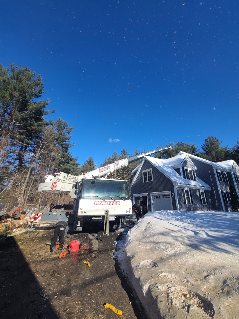 Martel Crane Service & Tree Removal Image
