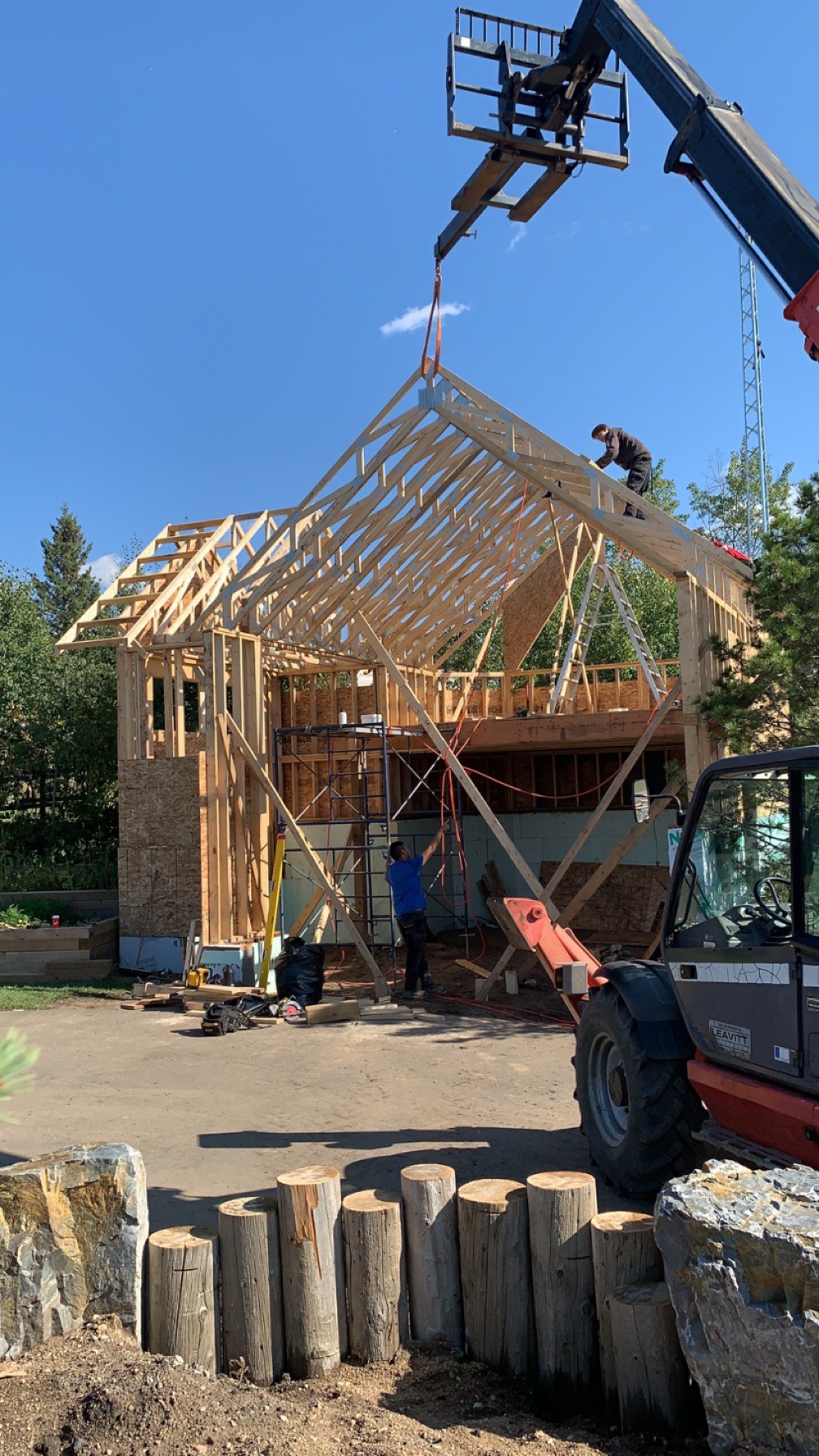 Images The Blue Spruce Builder