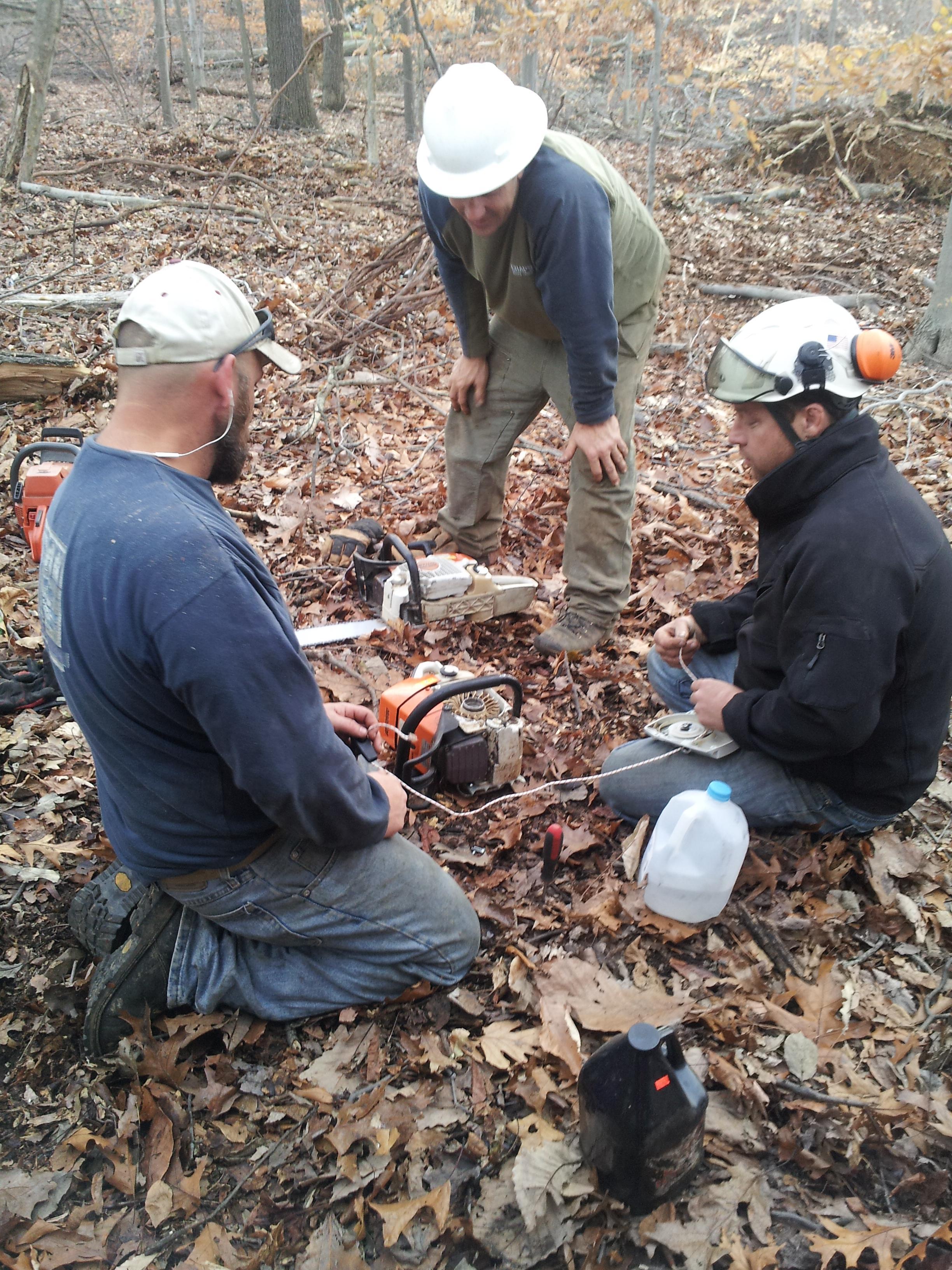 Timber Tree Service In Swannanoa Nc 28778 Chamberofcommerce Information