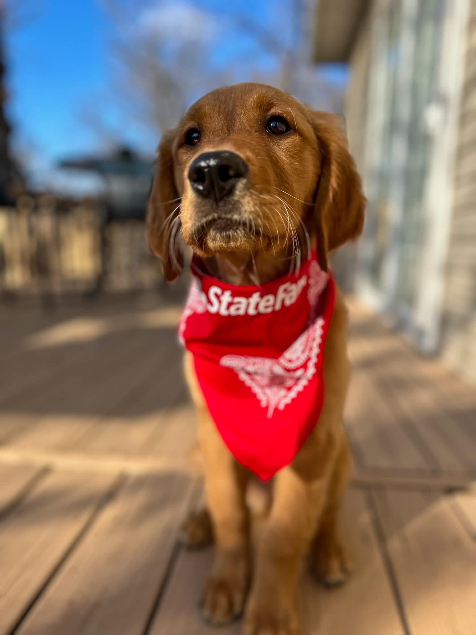 Jake Gray - State Farm Insurance Agent Image