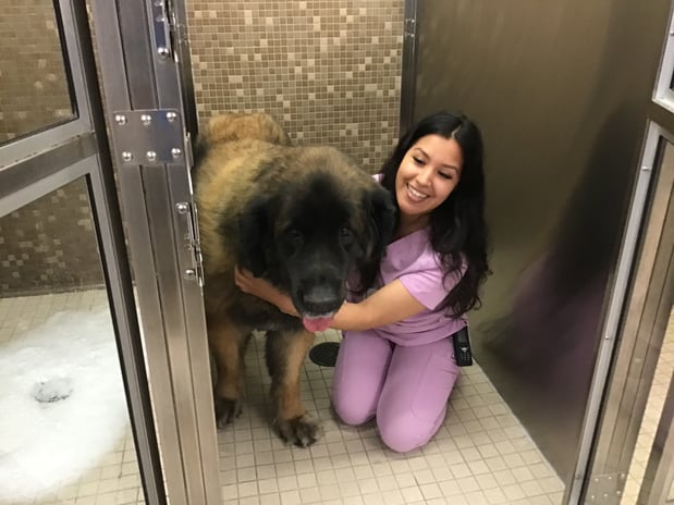 Images VCA West Los Angeles Animal Hospital
