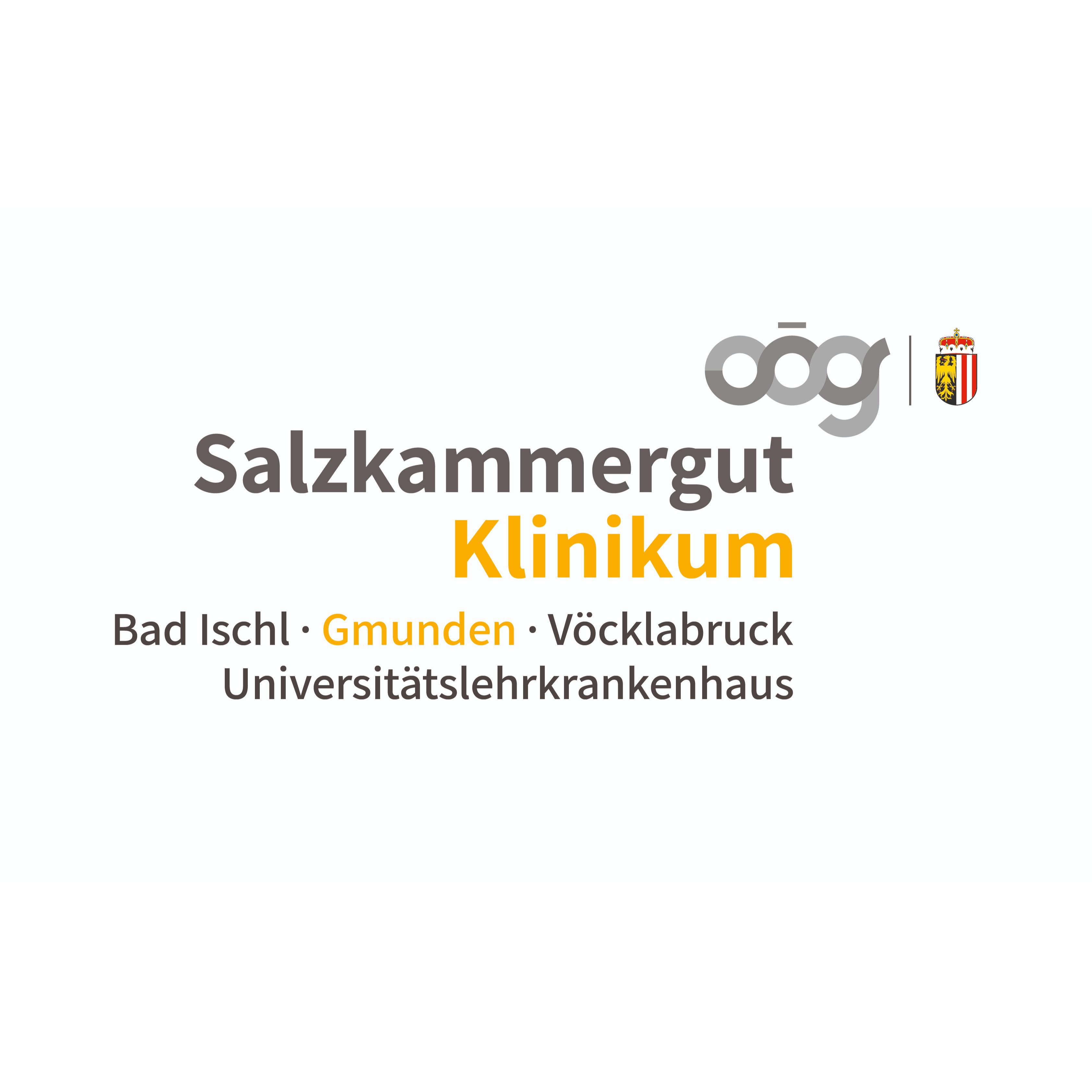 Logo von Salzkammergut Klinikum Gmunden