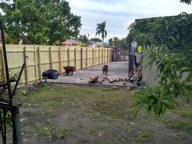 Images Air Xcellence IAQ Services LLC