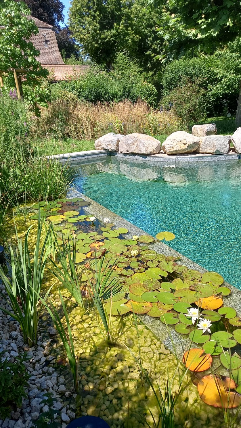 Bilder R&R MULTI SERVICES SÀRL