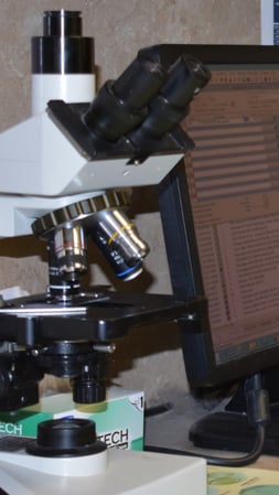 Images Bingle Veterinary Clinic