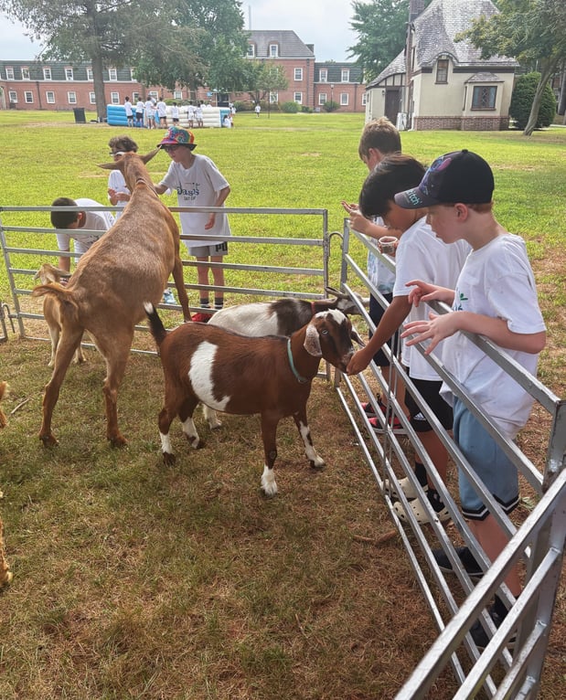 Images Oasis Day Camp LIU Post