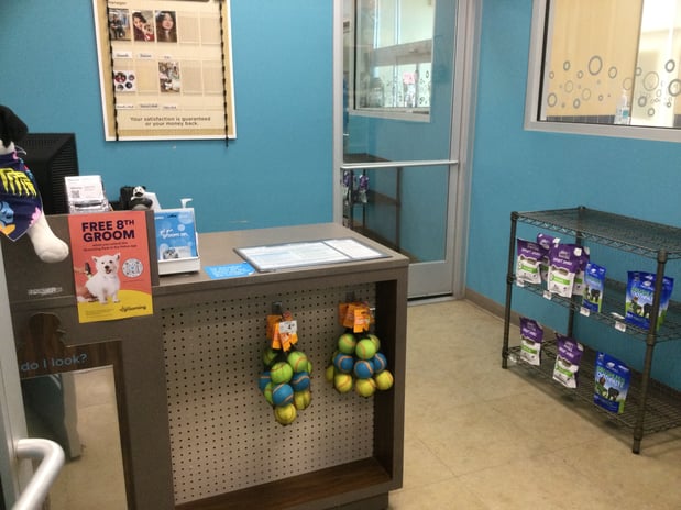 Images Petco Grooming