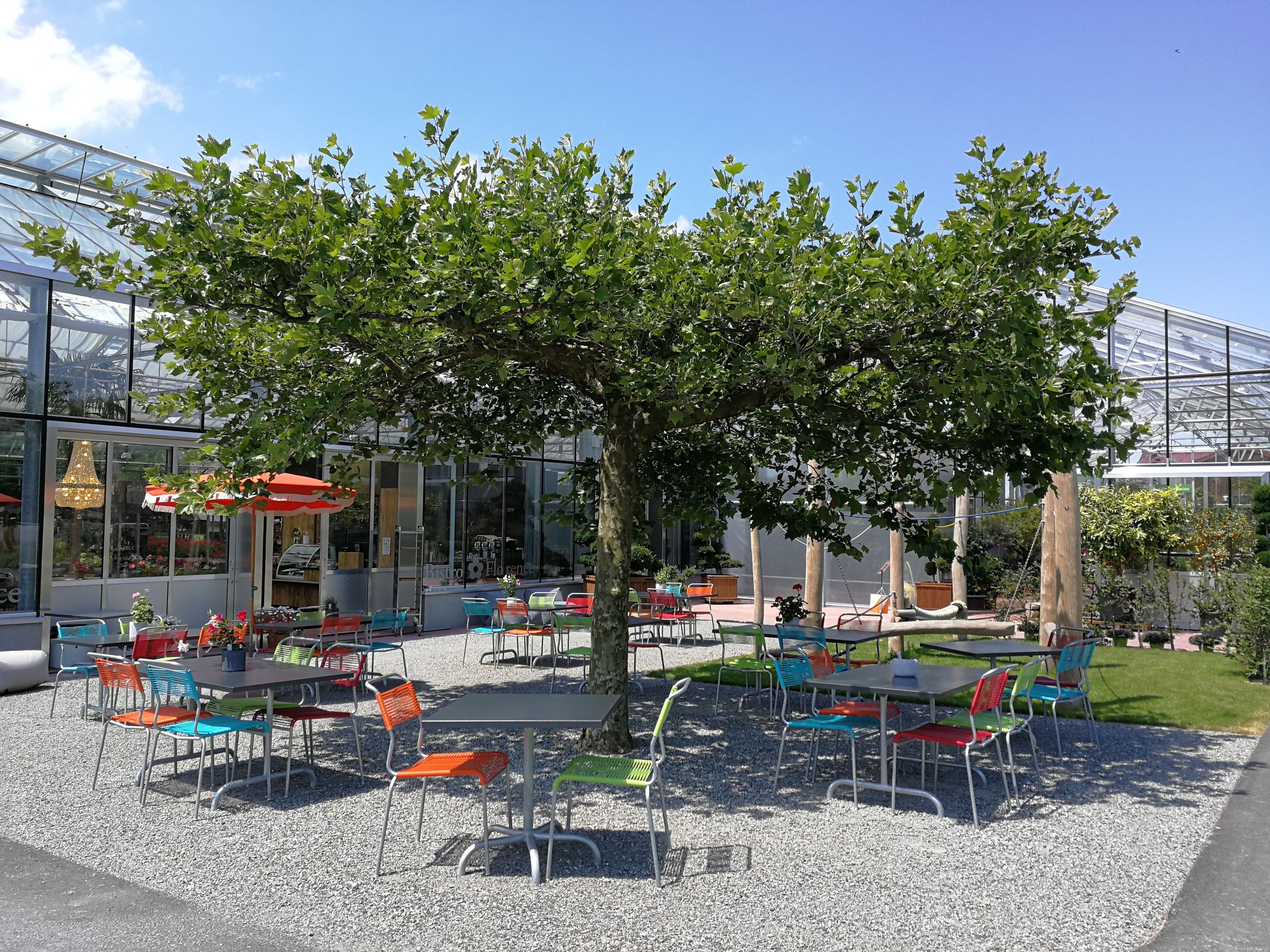 Daepp Gartenpflanzen, Bärenstutz 7 in Münsingen