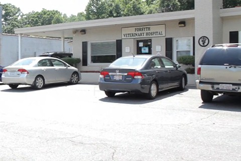 Forsyth Veterinary Hosp