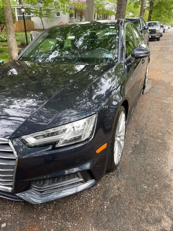 Images Carma Sutra LLC