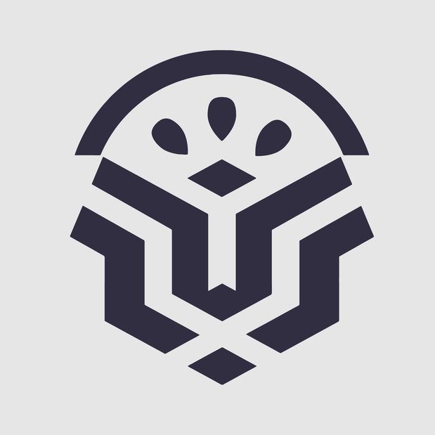Drone Video Tour Logo