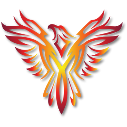 Veritas Security Solutions LLC