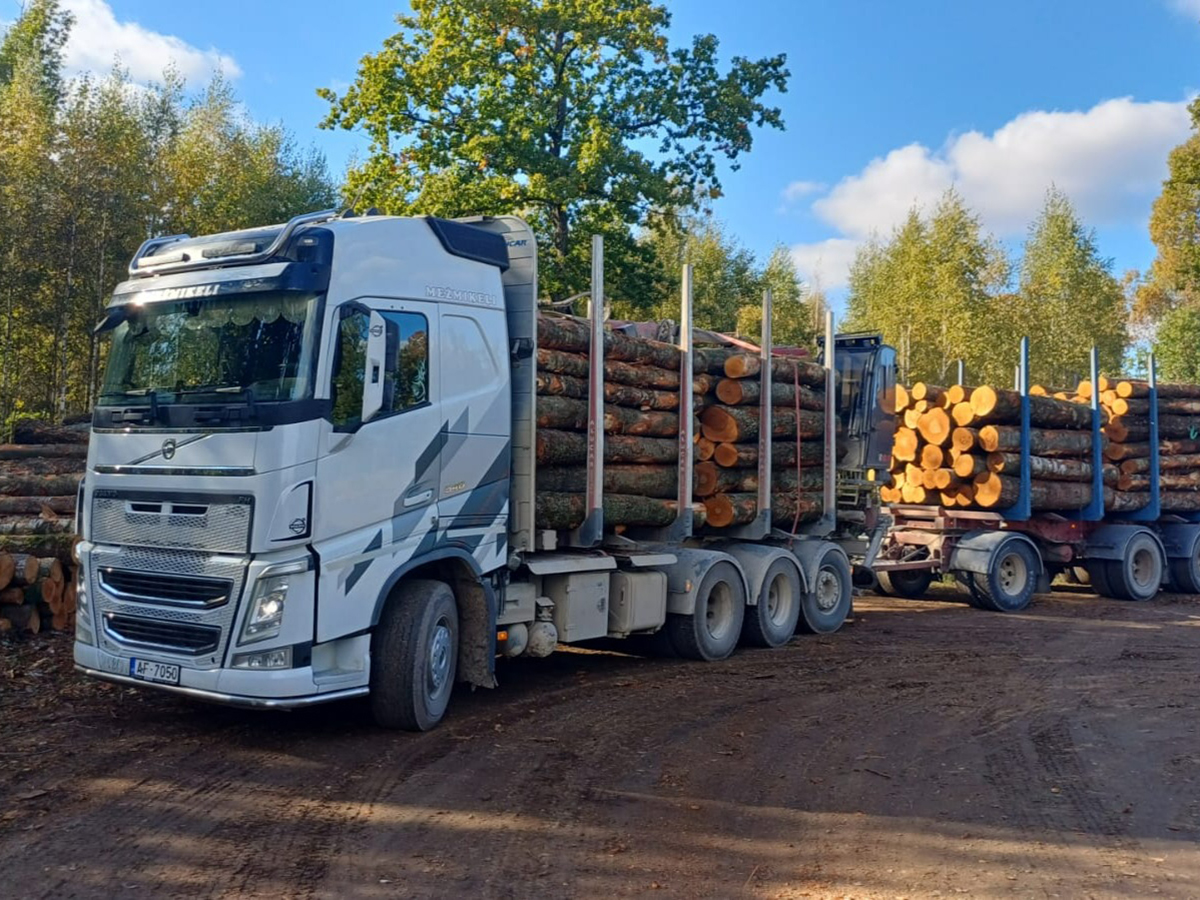 Jaudīgs kokvedējs gatavs kokmateriālu transportam uz pārstrādes uzņēmumu.