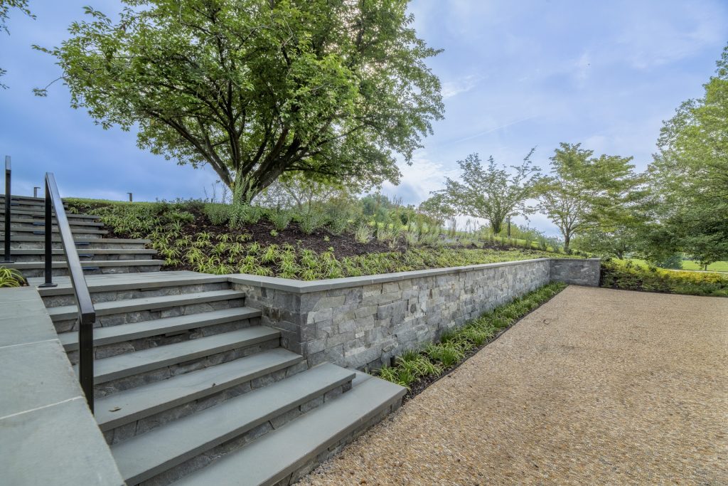 Black Pearl Management Image