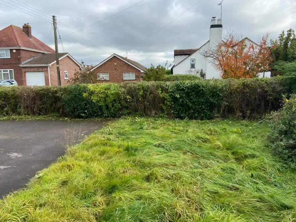 Images Oakwood Tree & Landscaping Services