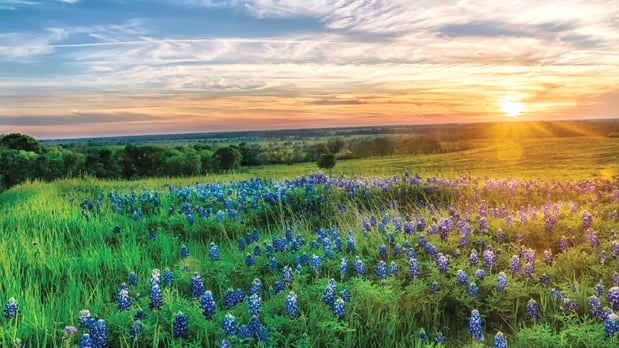 Images The Ranch at Uptown Celina