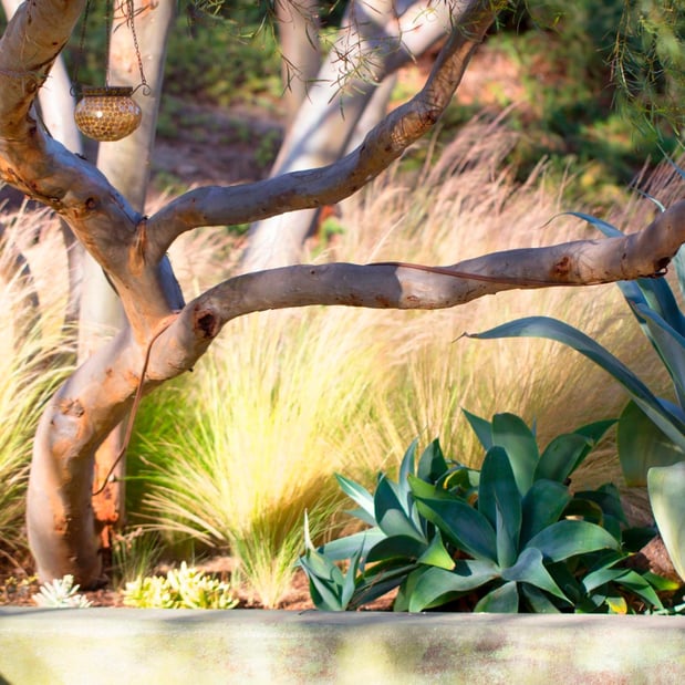 Images All Seasons Gardening & Landscaping