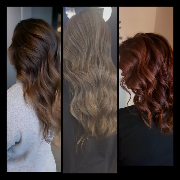 Images Eclipse The New Covenant Salon