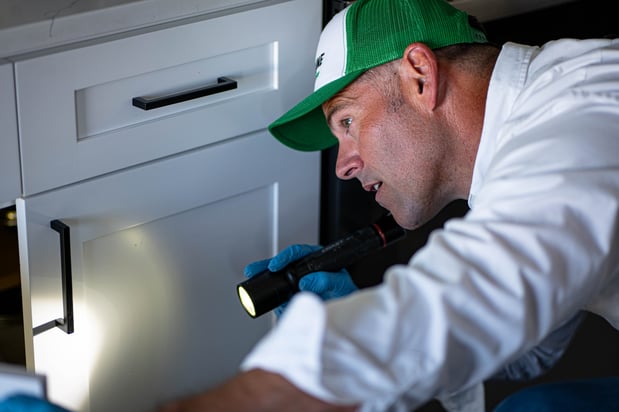 Images First Line Pest Defense