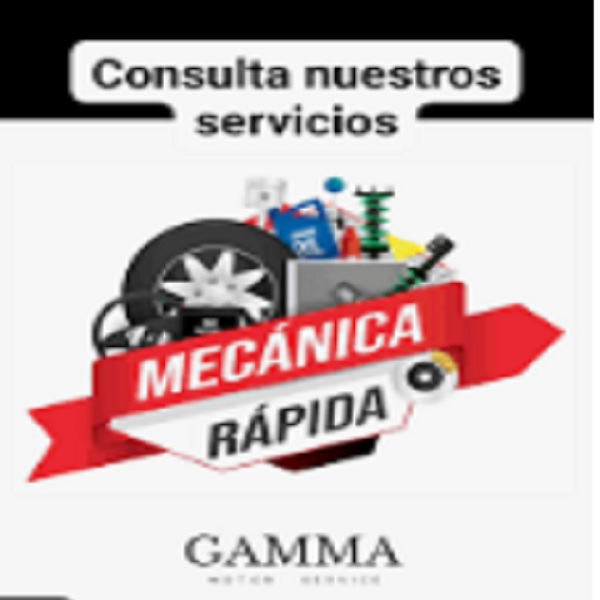 Images Gamma Motor Service