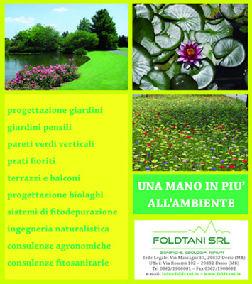 Images Foldtani