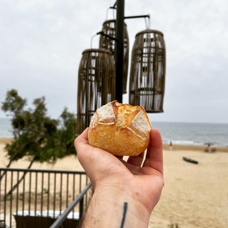 Images Terra Dunci Panificio