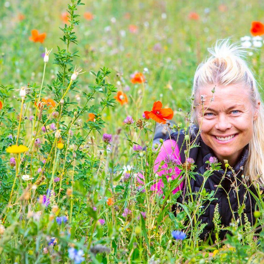 Images Queen B Trädgård- & Konsulttjänster AB