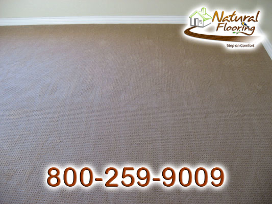 Royalty Endeavor Celestial Carpet