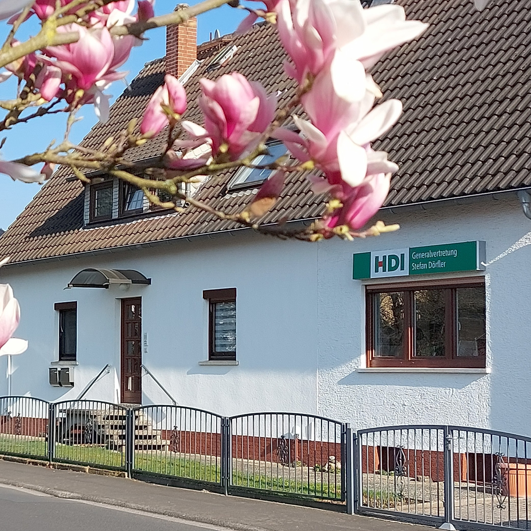 HDI Versicherungen: Stefan Dörfler, Thiergartenstr. 87 in Büdingen