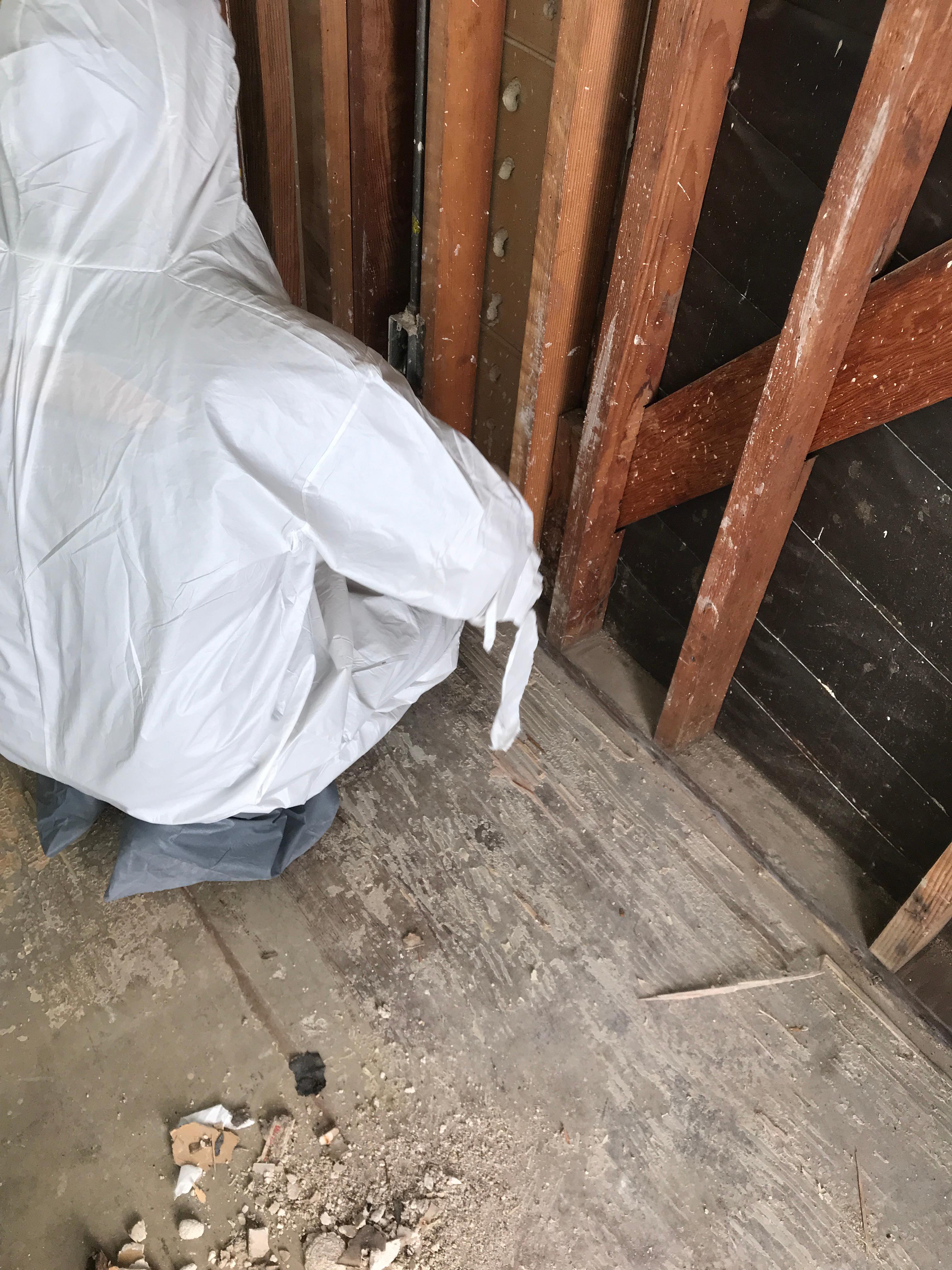 Our team will wear the proper personal protection gear when remediating the mold from your home.
