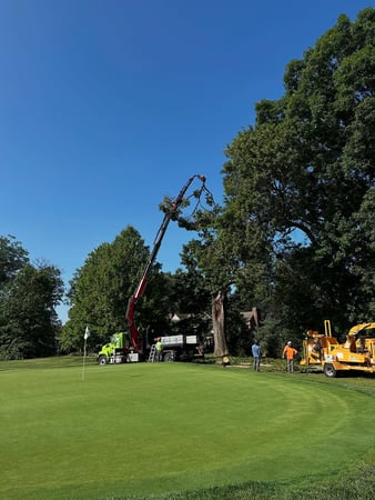 Images Friendly Tree Service Inc