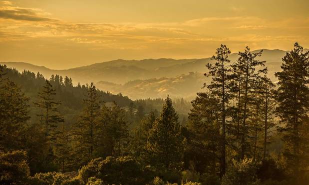 Images Theorem Vineyards