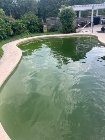 Images Pelican Pool and Patio LLC