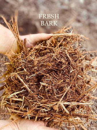 Images DeLullo Trucking Corp./WOODBED CORP